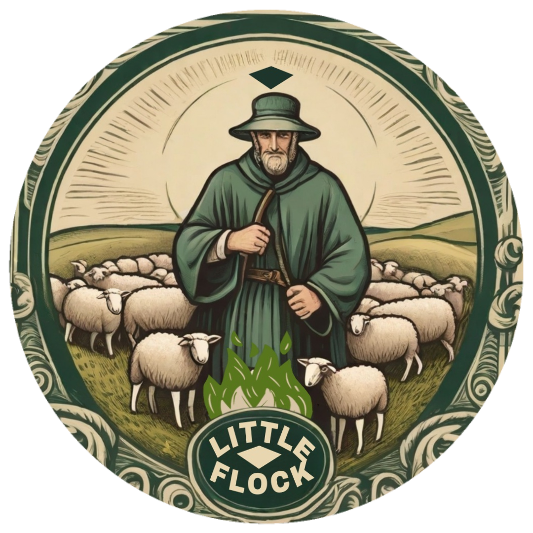 Pequeno Rebanho - Little Flock