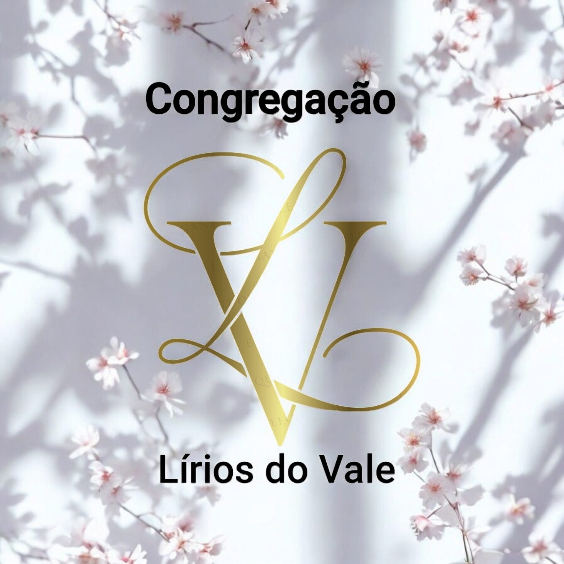 Congregacão Lírios do Vale